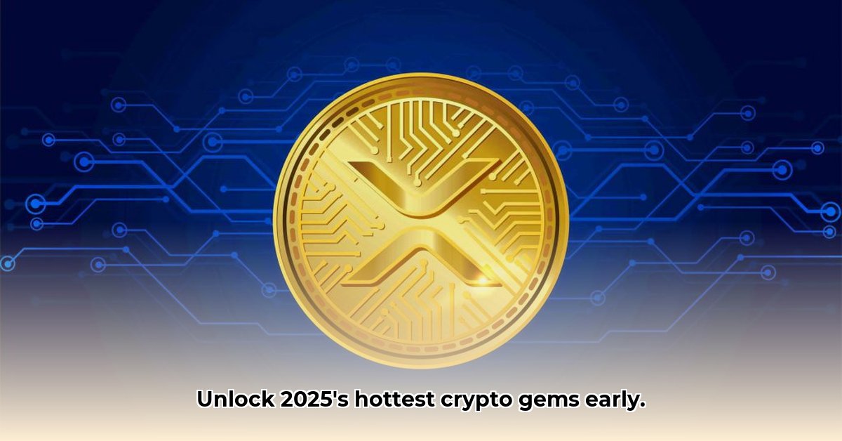 where-to-find-new-crypto-projects-before-listing